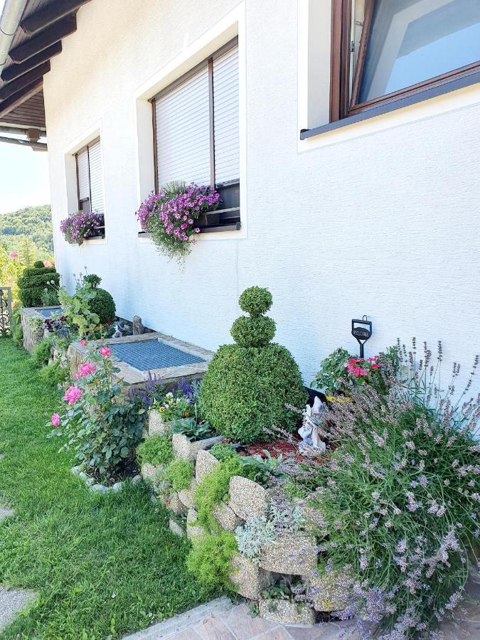 Apartmán Hisa Korazija Rogaška Slatina Exteriér fotografie