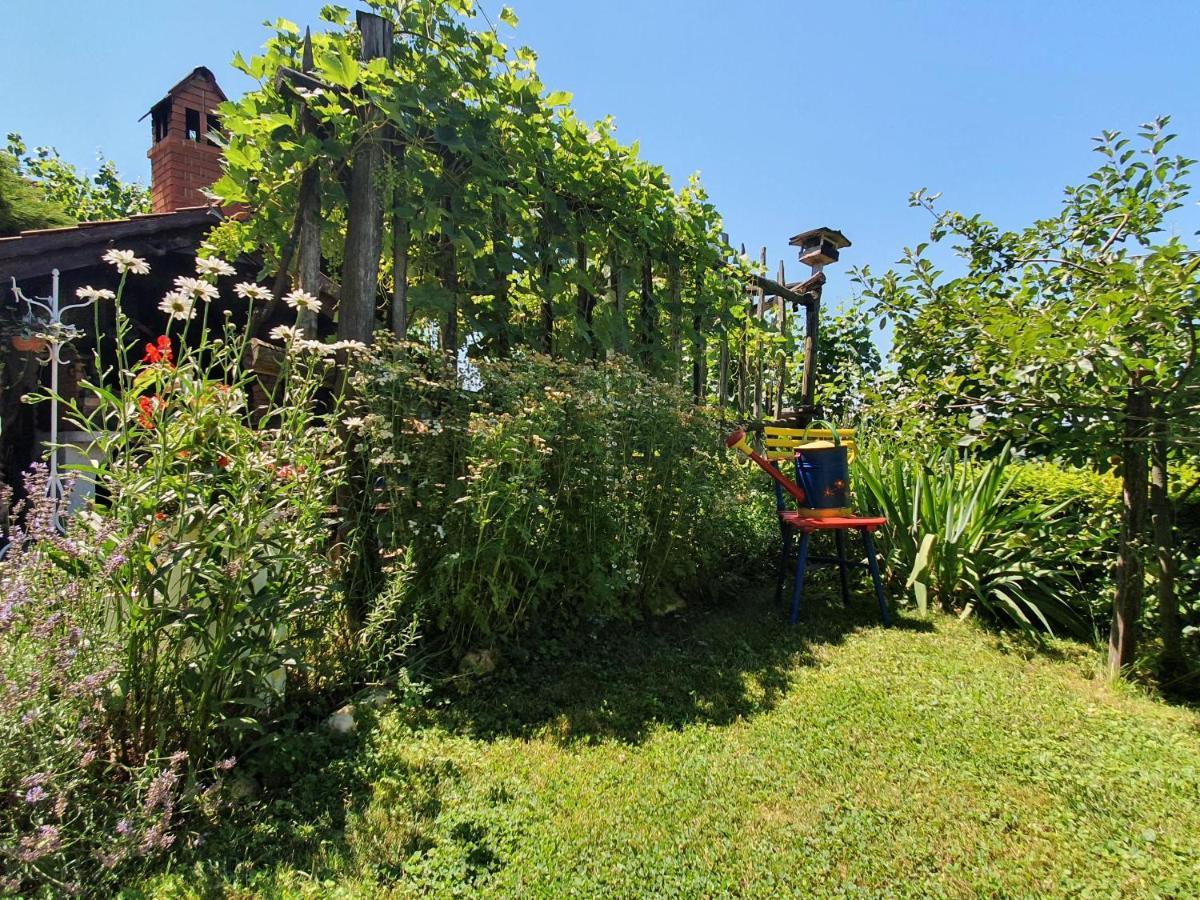 Apartmán Hisa Korazija Rogaška Slatina Exteriér fotografie