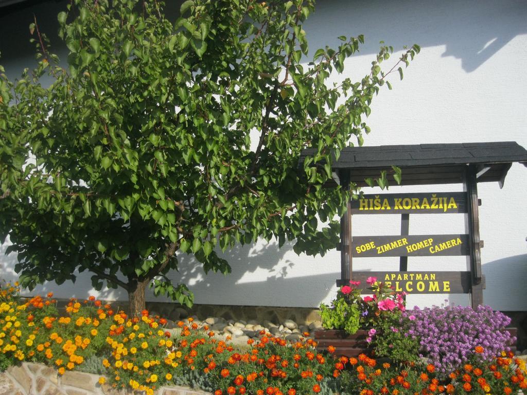Apartmán Hisa Korazija Rogaška Slatina Exteriér fotografie